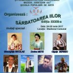 afis sarbatoarea iilor