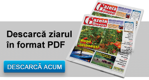 banner-ziar-pdf