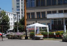 Corturi anticaniculă în județ