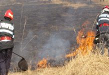 Incendii de vegetație uscată lichidate