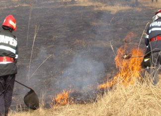 Incendii de vegetație uscată lichidate