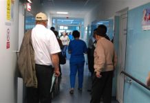 Zeci de olteni, la spital după ce au fost înțepați de căpușe