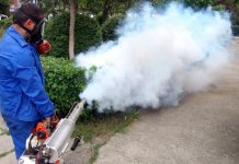 Primăria Slatina a declarat război țânțarilor