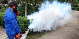 Primăria Slatina a declarat război țânțarilor