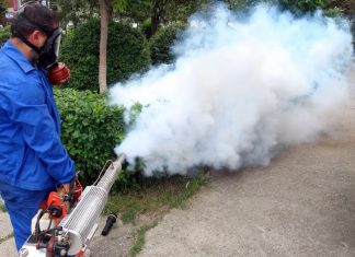 Primăria Slatina a declarat război țânțarilor