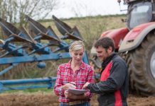 Tinerii olteni mai au o șansă în agricultură