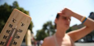 Căldura „UCIDE” afară și în halele industriale…!