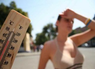 Căldura „UCIDE” afară și în halele industriale…!