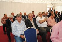 Ce spun primarii pesedişti din Olt despre… Dragnea, Grindeanu – Moţiune?!