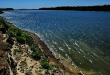 APM Olt a depus la Ministerul Dezvoltării proiecte pe fonduri europene de patru milioane de euro