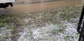 Grindina a făcut ravagii la Sprâncenata