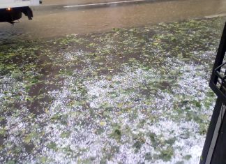 Grindina a făcut ravagii la Sprâncenata