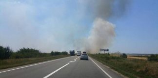 Incendiu de proporții între Găneasa și Pădurea Saru