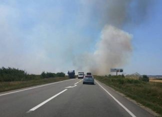 Incendiu de proporții între Găneasa și Pădurea Saru
