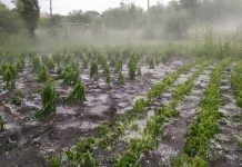 Inundaţii şi grindină în Olt