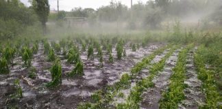 Inundaţii şi grindină  în Olt