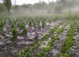 Inundaţii şi grindină în Olt