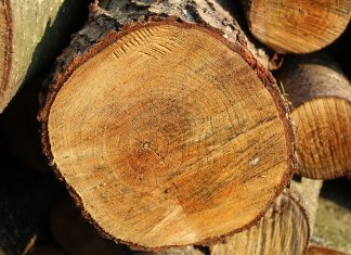 Guvernul plafonează prețul la lemnul de foc la 400 de lei pe metrul cub