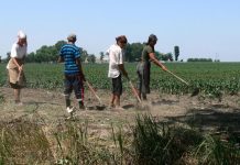 Mii de olteni trăiesc de azi pe mâine