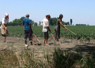 Mii de olteni trăiesc de azi pe mâine