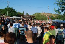 Preşedintele CJ Olt, Marius Oprescu: „Tesluiul chiar merită să devină o comună europeană”