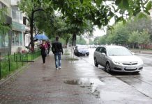 Olt, cod galben de ploi