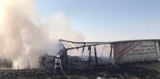 TIR cuprins de flăcări pe Drumul Național 65