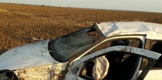 Grav accident rutier între Dăneasa și Radomirești