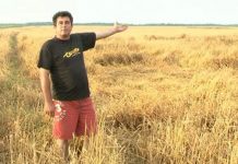 Agricultorii nu sunt îngrijorați din cauza ploilor