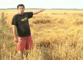 Agricultorii nu sunt îngrijorați din cauza ploilor