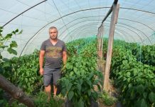 Încurajat să investească în agricultură