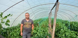 Încurajat să investească în agricultură