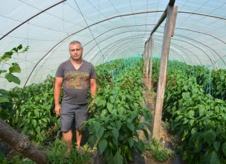 Încurajat să investească în agricultură