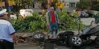 A intrat cu mașina în copac