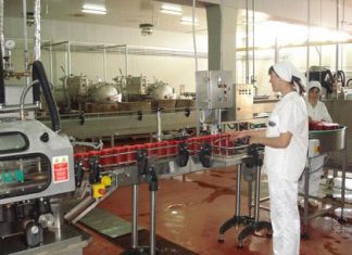 Fabrică modernă de stocare şi procesare a legumelor, inaugurată la Grădinari