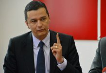 Sorin Grindeanu dezvăluie cifrele din SONDAJELE INTERNE ale PSD: DEZASTRU pentru Dragnea