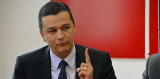 Sorin Grindeanu dezvăluie cifrele din SONDAJELE INTERNE ale PSD: DEZASTRU pentru Dragnea