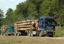 Un tânăr din Olt a raportat un transport ILEGAL de lemne