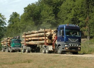 Un tânăr din Olt a raportat un transport ILEGAL de lemne