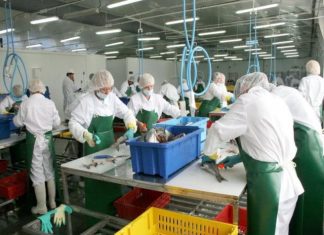 O fabrică de procesare a peştelui din Norvegia angajează lucrători din Olt