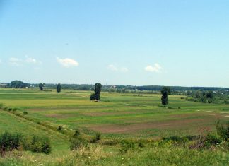 O sută de primării din Olt vor primi câte un miliard şi jumătate de lei pentru cadastru