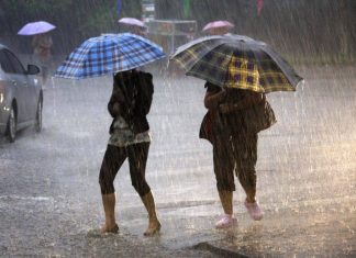 Cod portocaliu de ploi în Olt