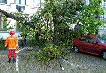 Primăria Slatina: Atenție unde vă parcați mașinile!