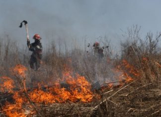 Sunt pasibili de amenzi drastice