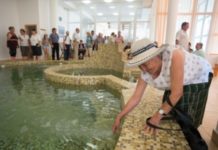 Sute de bilete de tratament pentru pensionarii olteni în 16 staţiuni balneare din ţară