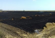 Un nou incendiu pe DN 65