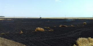 Un nou incendiu pe DN 65