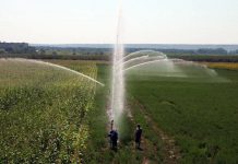 Zeci de angajări la ANIF Olt