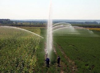 Zeci de angajări la ANIF Olt