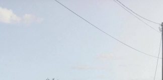 Accident rutier cu victime la Gostavățu